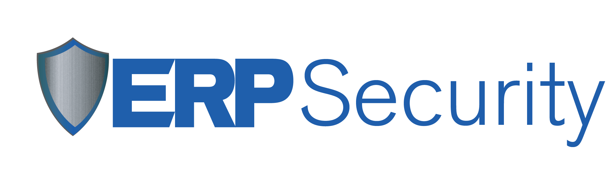erp-security